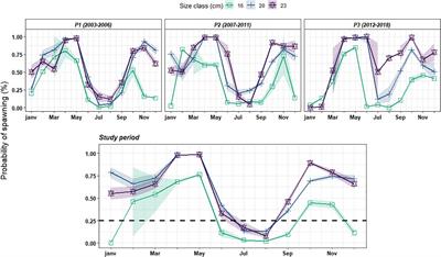 Determinism of Temporal Variability in Size at Maturation of Sardine Sardina pilchardus in the Bay of Biscay